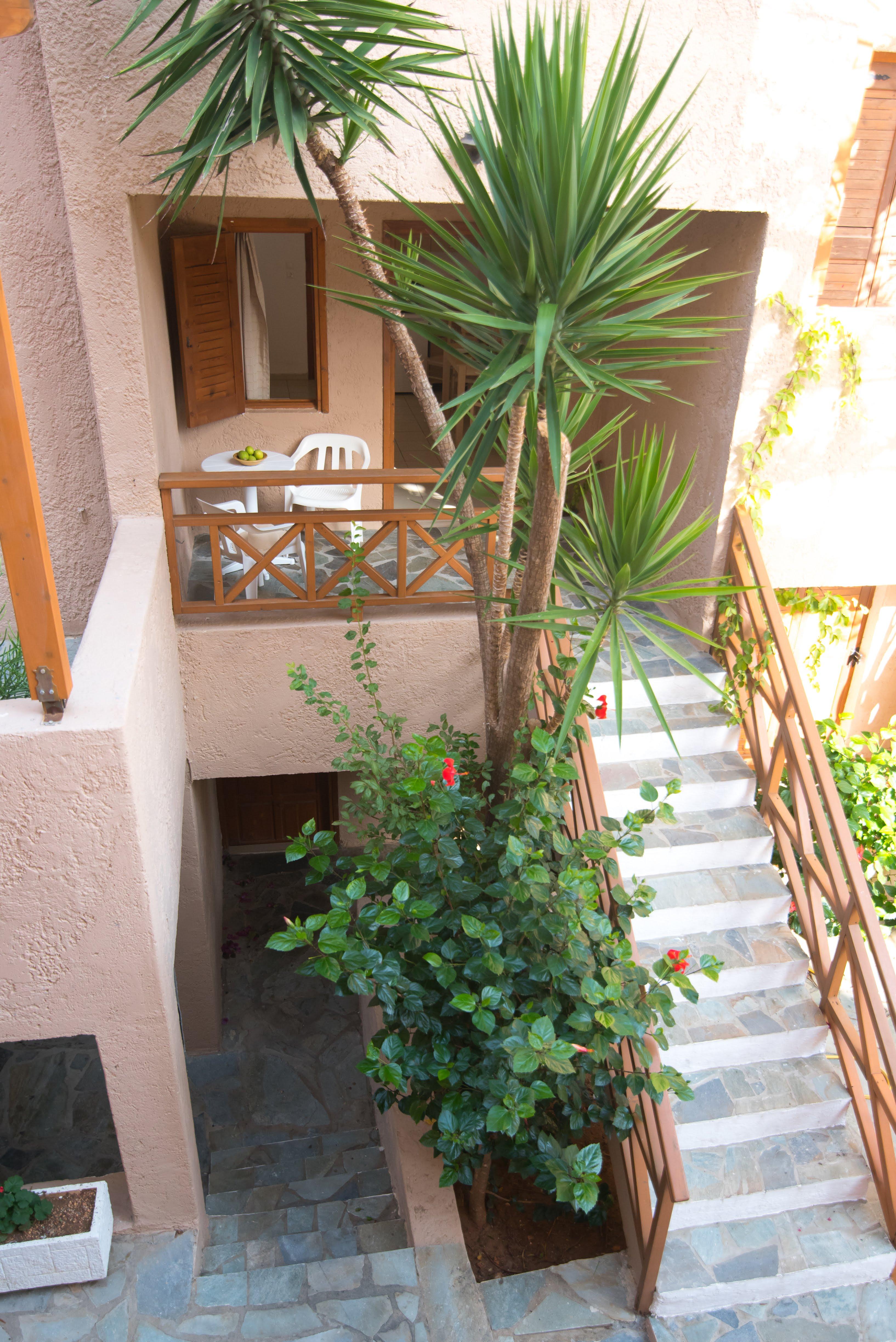 Hotel Anna Maria Malia Exteriér fotografie